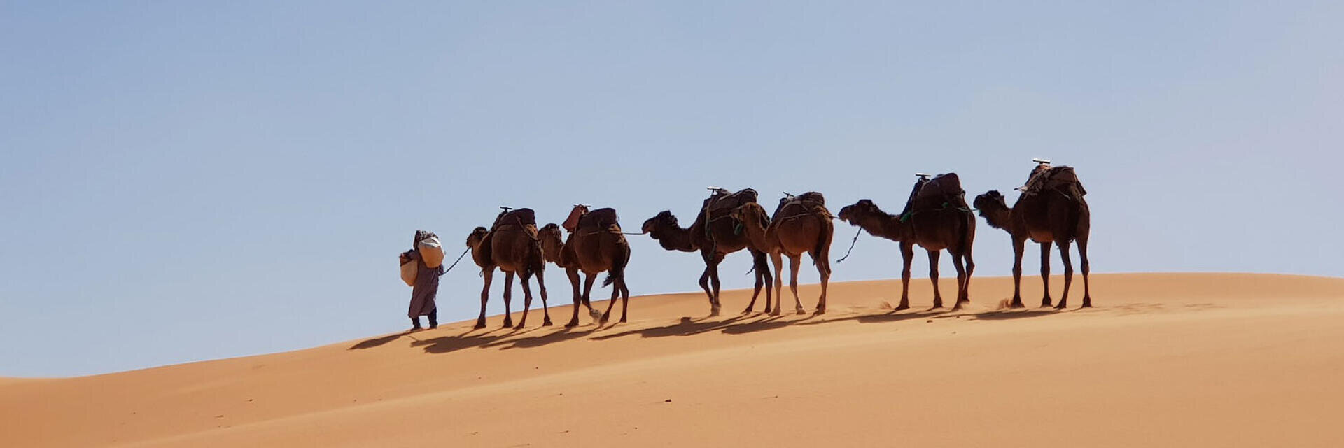 Eine traditionell gekleidete Person führt sechs Kamele mit Rucksäcken über eine sandige Wüstendüne unter strahlend blauem Himmel.