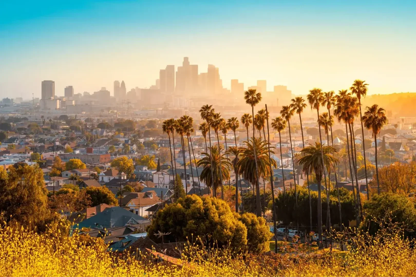Eine malerische Ansicht von Los Angeles bei Sonnenuntergang, mit hohen Palmen im Vordergrund, Wohnhäusern darunter und der Skyline der Stadt, die sich gegen einen klaren blauen und orangefarbenen Himmel abhebt.